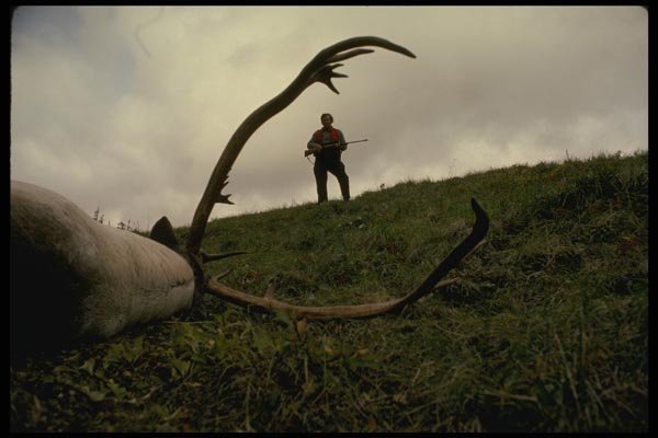 195056 Hunter Approaches Trophy Caribou He Has Just Downed A4 Photo Print