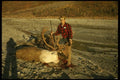 195062 Hunter Shows Big Caribou Bull He Has Just Downed A4 Photo Print