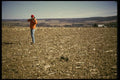 195065 Rabbit Hunting A4 Photo Print
