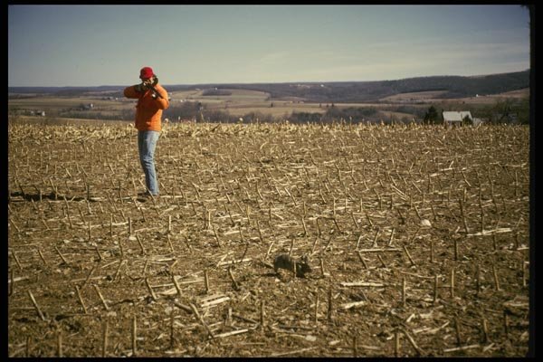 195065 Rabbit Hunting A4 Photo Print