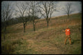 195073 Rabbit Hunter And Beagle Flush Cottontail A4 Photo Print