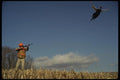 195074 Hunter Flushes Pheasant A4 Photo Print