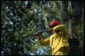 195079 Deer Hunter Shooting From Tree Stand A4 Photo Print