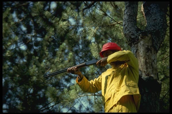 195079 Deer Hunter Shooting From Tree Stand A4 Photo Print