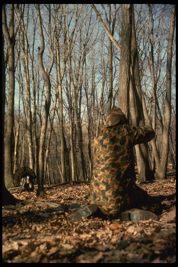 195083 Hunter Aims At Wild Turkey A4 Photo Print