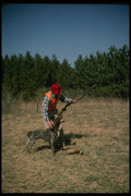 195084 Successful Pheasant Hunter Pats German Shorthaired Pointer A4 Photo Print