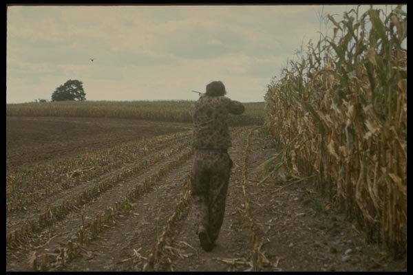 195099 Bird Hunting In Corn Field A4 Photo Print