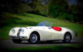 1951 Jaguar XK120 Roadster A4 Photo Print