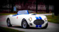1952 Cunningham C 3 A4 Photo Print