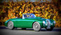 1952 Frazer Nash Targa Florio A4 Photo Print