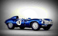 1956 Jaguar D Type A4 Photo Print