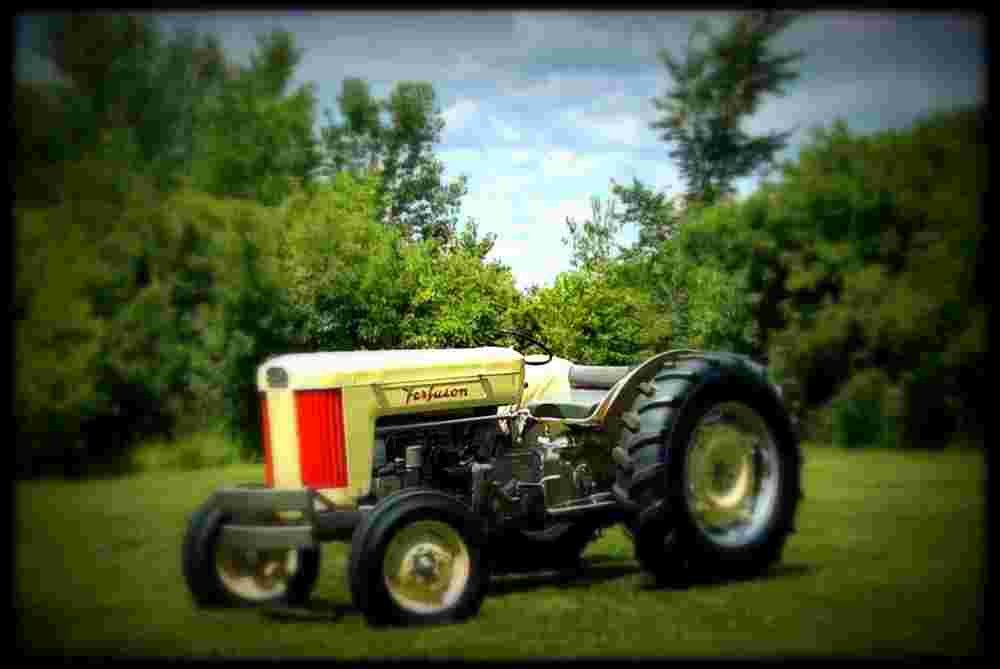 1957 Ferguson F 40 A4 Photo Print