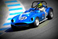 1959 Echidna A4 Photo Print