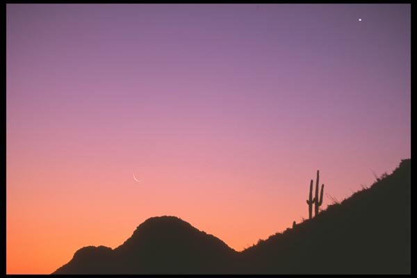 196035 Morning Star And Silver Moon A4 Photo Print