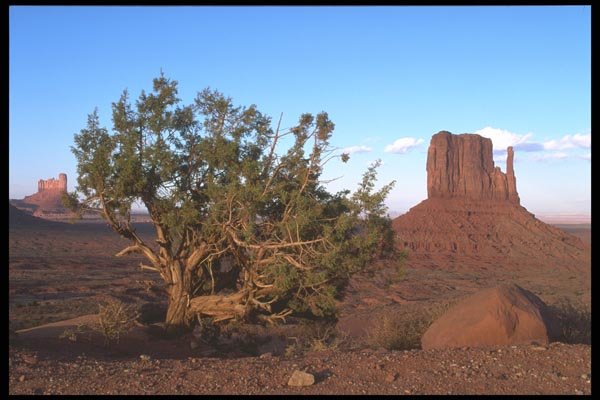 196042 Jumper In Monument Valley A4 Photo Print