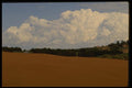 196056 Cora Pink Dunes Park A4 Photo Print