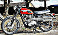 1962 tr6c motorbike A4 Photo Print