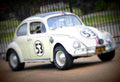 1963 Volkswagen Beetle A4 Photo Print