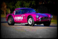 1963 shelby cobra dragon snake A4 Photo Print
