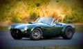 1965 Shelby Cobra 289 Dragonsnake A4 Photo Print