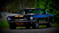 1966 Shelby GT350H Fastback A4 Photo Print