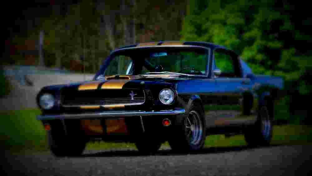 1966 Shelby GT350H Fastback A4 Photo Print