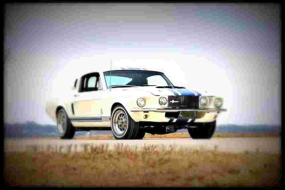 1967 shelby gt500 super snake A4 Photo Print