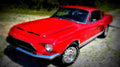 1968 Shelby GT500 A4 Photo Print