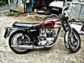 1969 bonneville motorbike A4 Photo Print