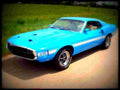 1969 shelby gt350 fastback A4 Photo Print