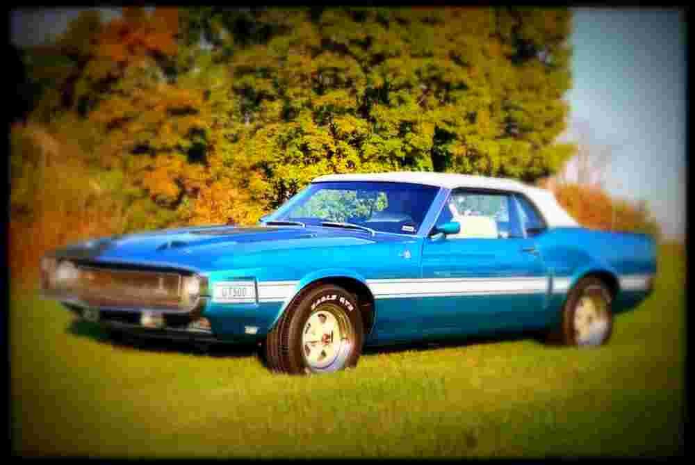 1969 shelby gt500 A4 Photo Print