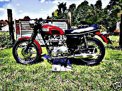 1969 tr6r motorbike A4 Photo Print