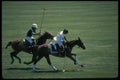 197008 Polo Horses A4 Photo Print