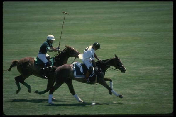 197008 Polo Horses A4 Photo Print