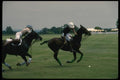 197009 Polo Horses A4 Photo Print
