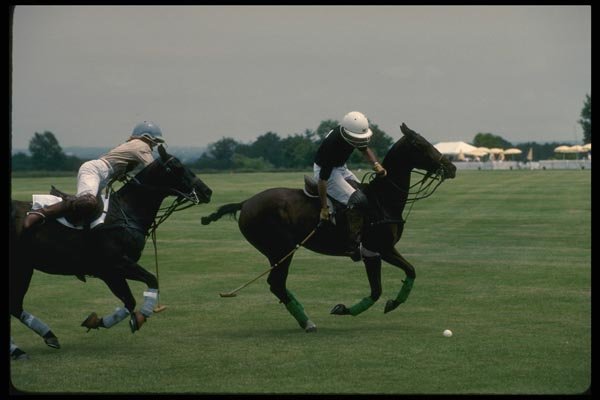 197009 Polo Horses A4 Photo Print