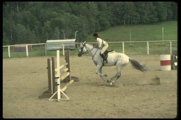 197014 Equestrian Rider A4 Photo Print