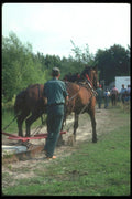 197023 Horse And Plow A4 Photo Print