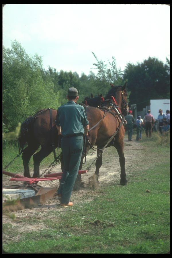 197023 Horse And Plow A4 Photo Print