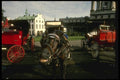 197027 Caleche Horse A4 Photo Print