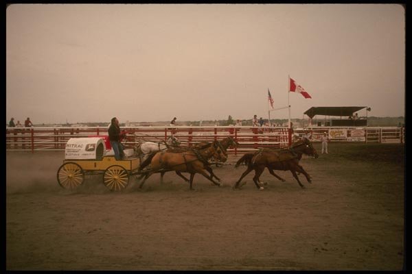 197028 Chuck Wagon Races A4 Photo Print