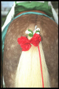 197040 Shetland Ponytail A4 Photo Print