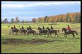 197047 Fox Hunt A4 Photo Print