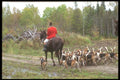 197048 Fox Hunt A4 Photo Print