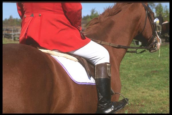 197049 Horseman, Fox Hunt A4 Photo Print