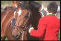 197053 Horseman, Fox Hunt A4 Photo Print