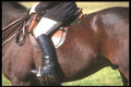 197054 Horseman, Fox Hunt A4 Photo Print