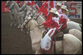 197059 Rodeo A4 Photo Print