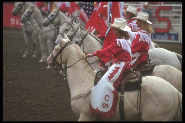 197059 Rodeo A4 Photo Print