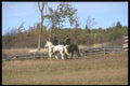 197062 Horsemen, Fox Hunt A4 Photo Print